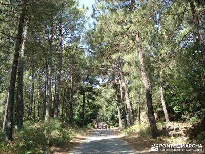 Pinares de Piedralaves; la casa del bosque tiendas montaña madrid laguna grande de gredos